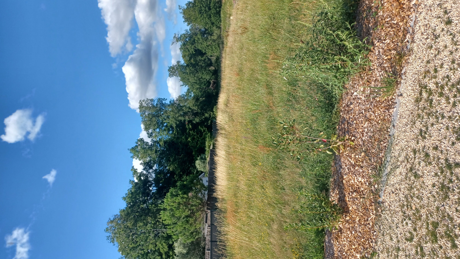 Terrain constructible de 560m2 à Capian