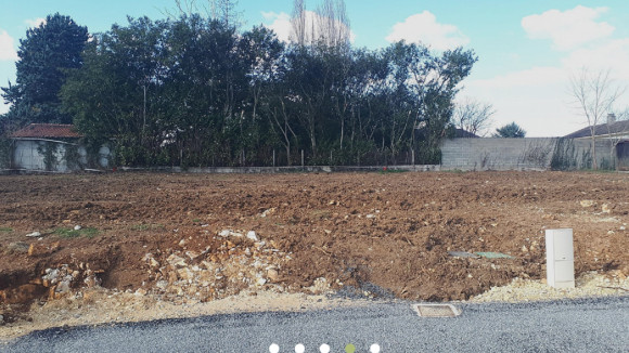 photo montamisé (1).jpg