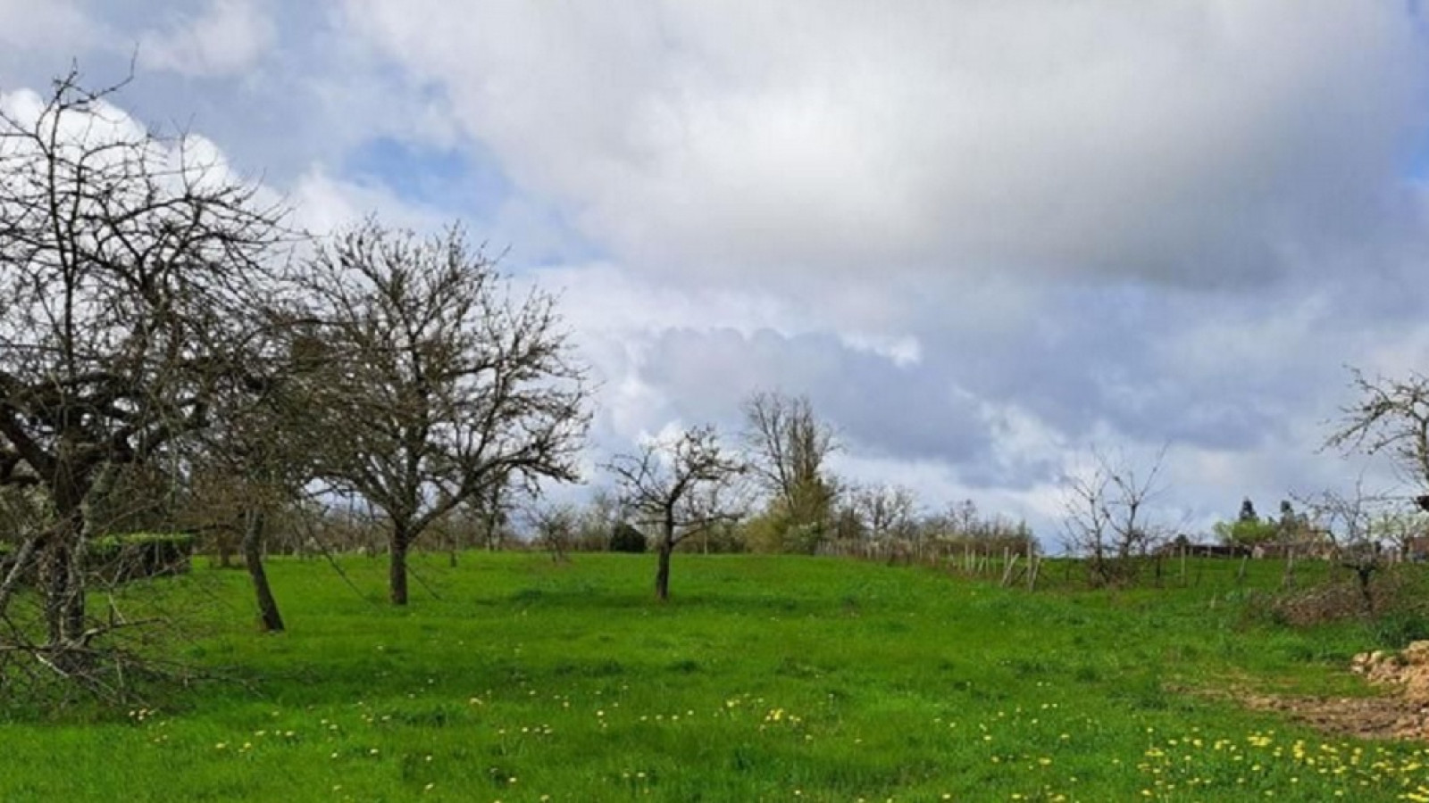 Terrain constructible de 2800m2 à Senillé-Saint-Sauveur