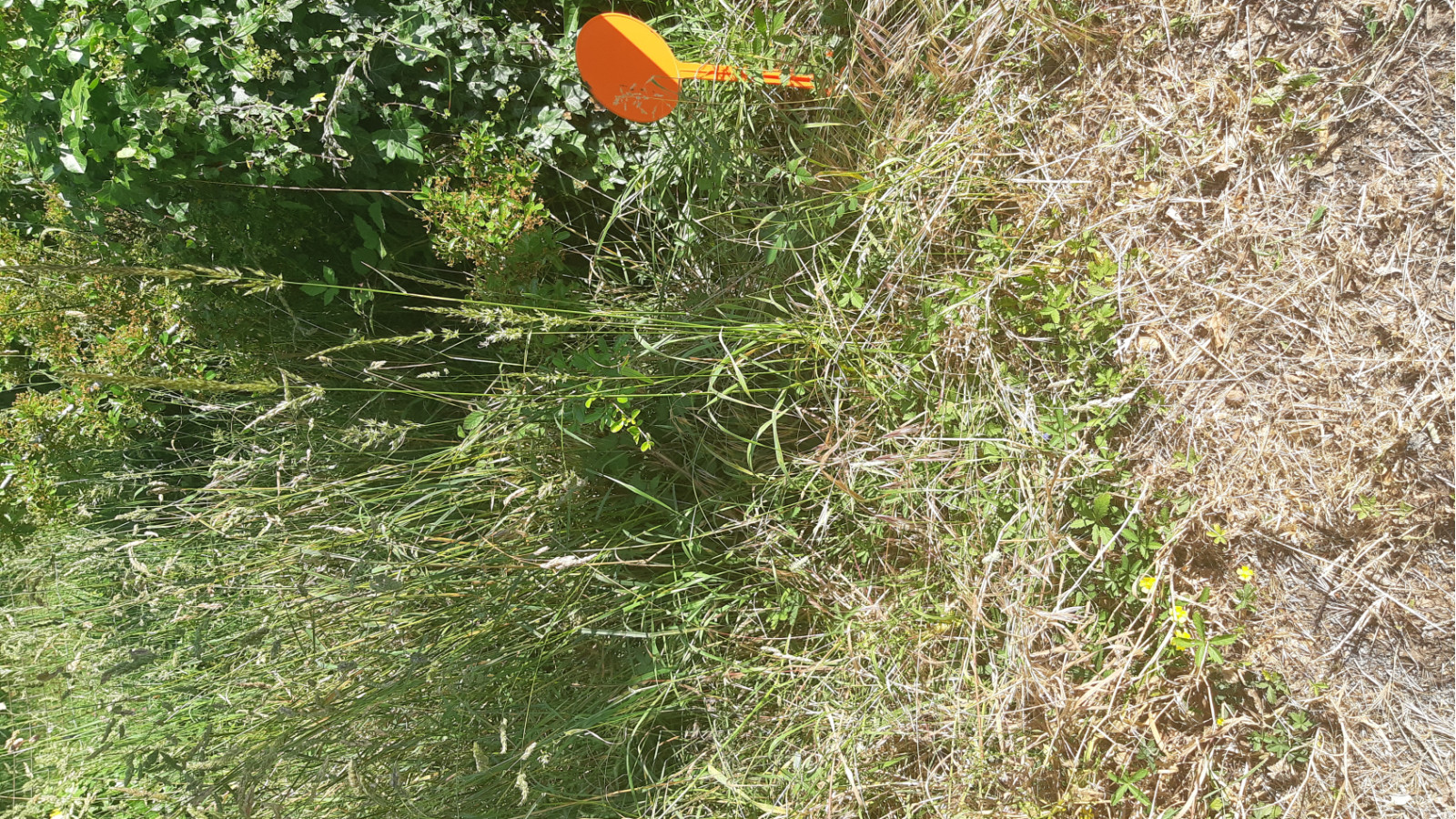 Terrain constructible de 850m2 à Pontchâteau