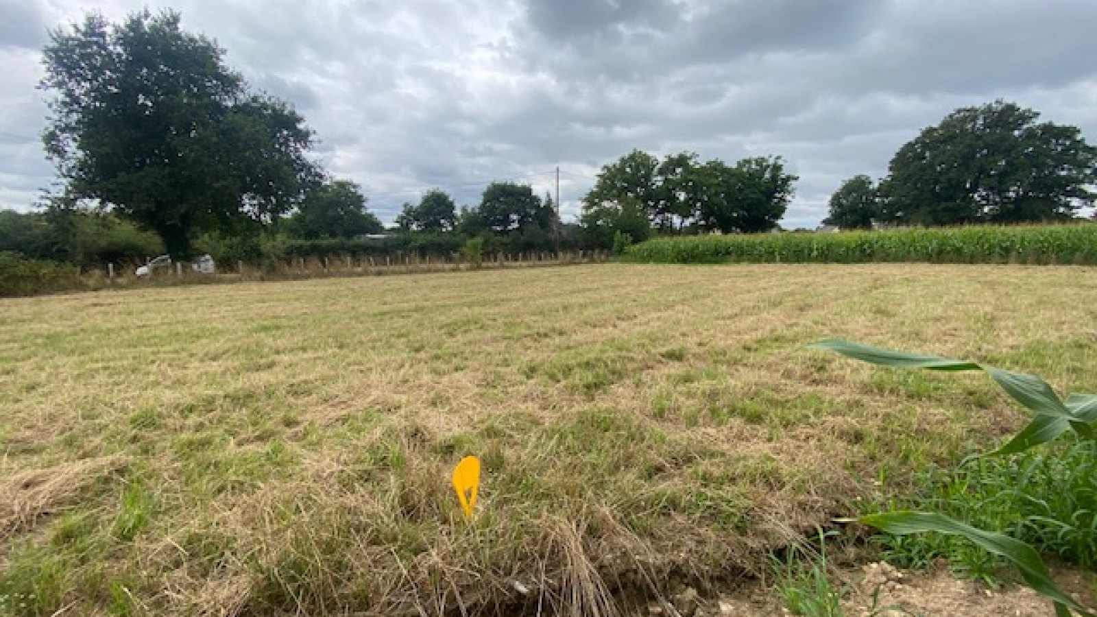 Terrain constructible de 780m2 à Missillac