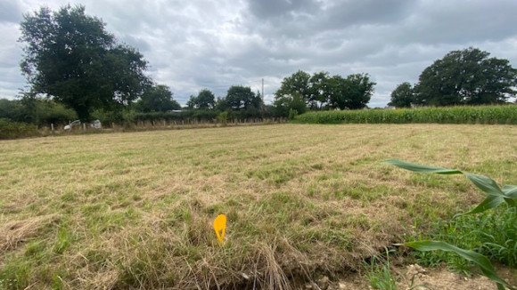 005-vue arrière EST.jpeg