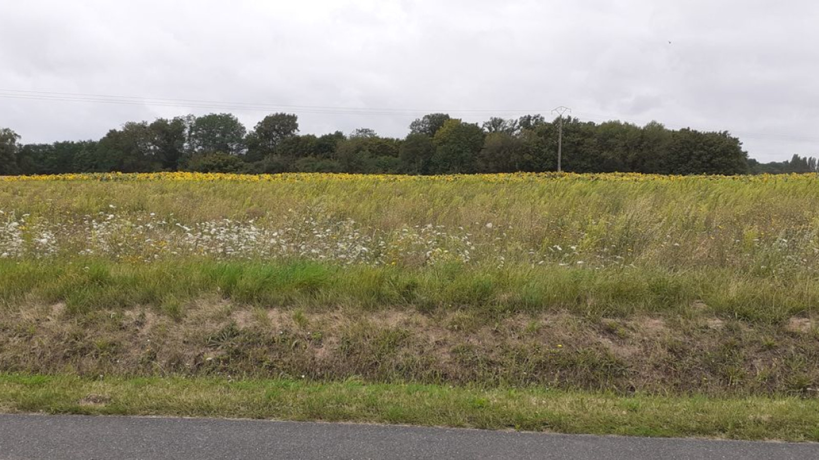 Terrain constructible de 1000m2 à Oussoy-en-Gâtinais