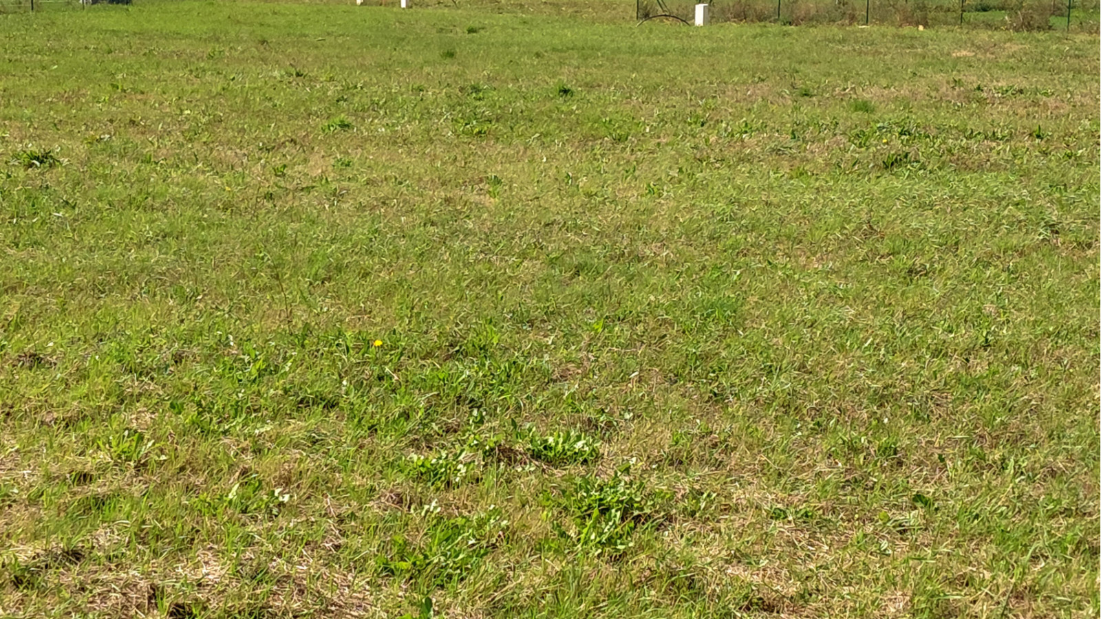 Terrain constructible de 404m2 à Cigogné