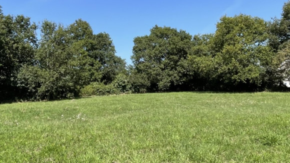 Capture d’écran 2025-10-08 140402.jpg