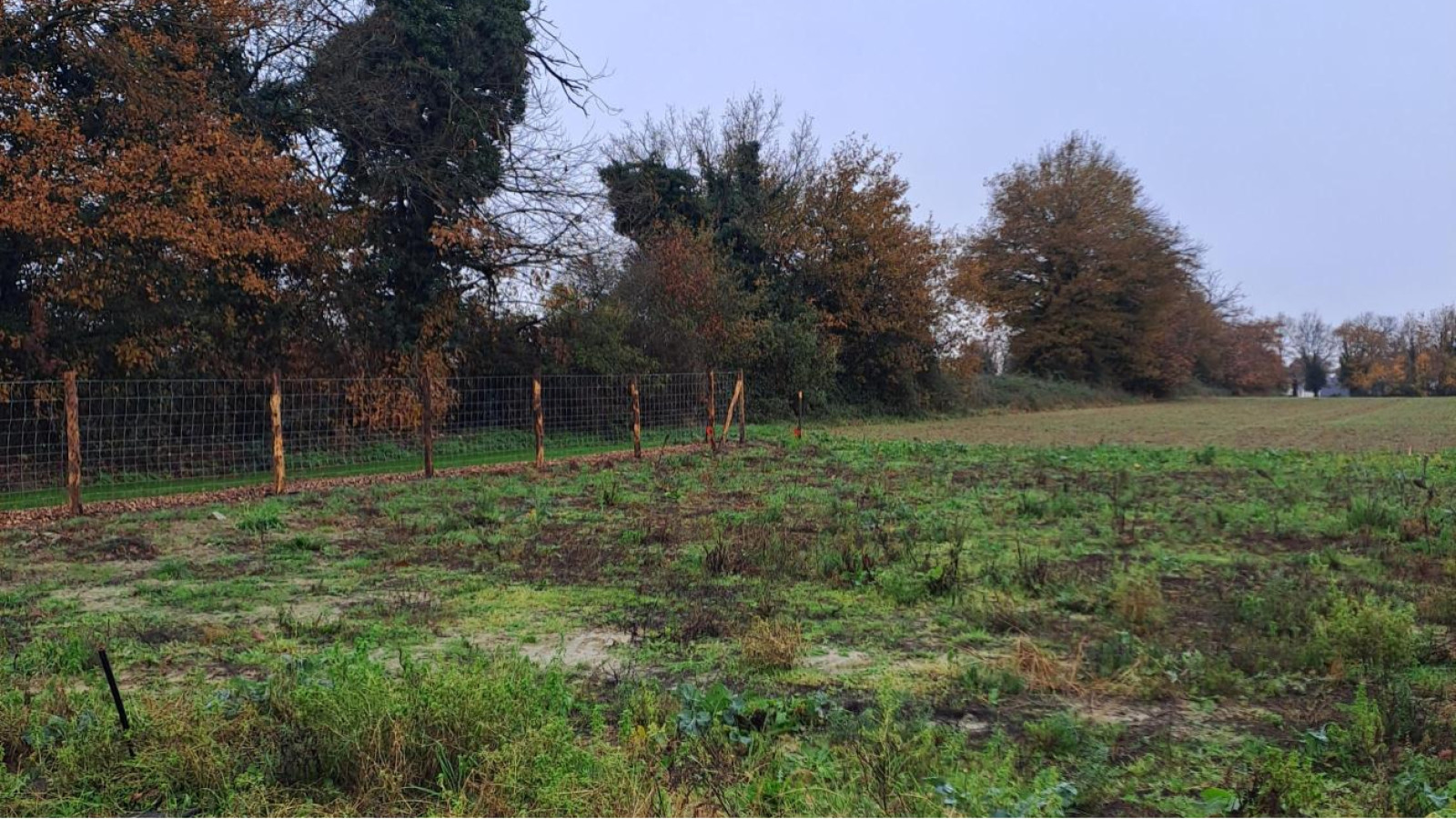 Terrain constructible de 341m2 à Segré-en-Anjou Bleu