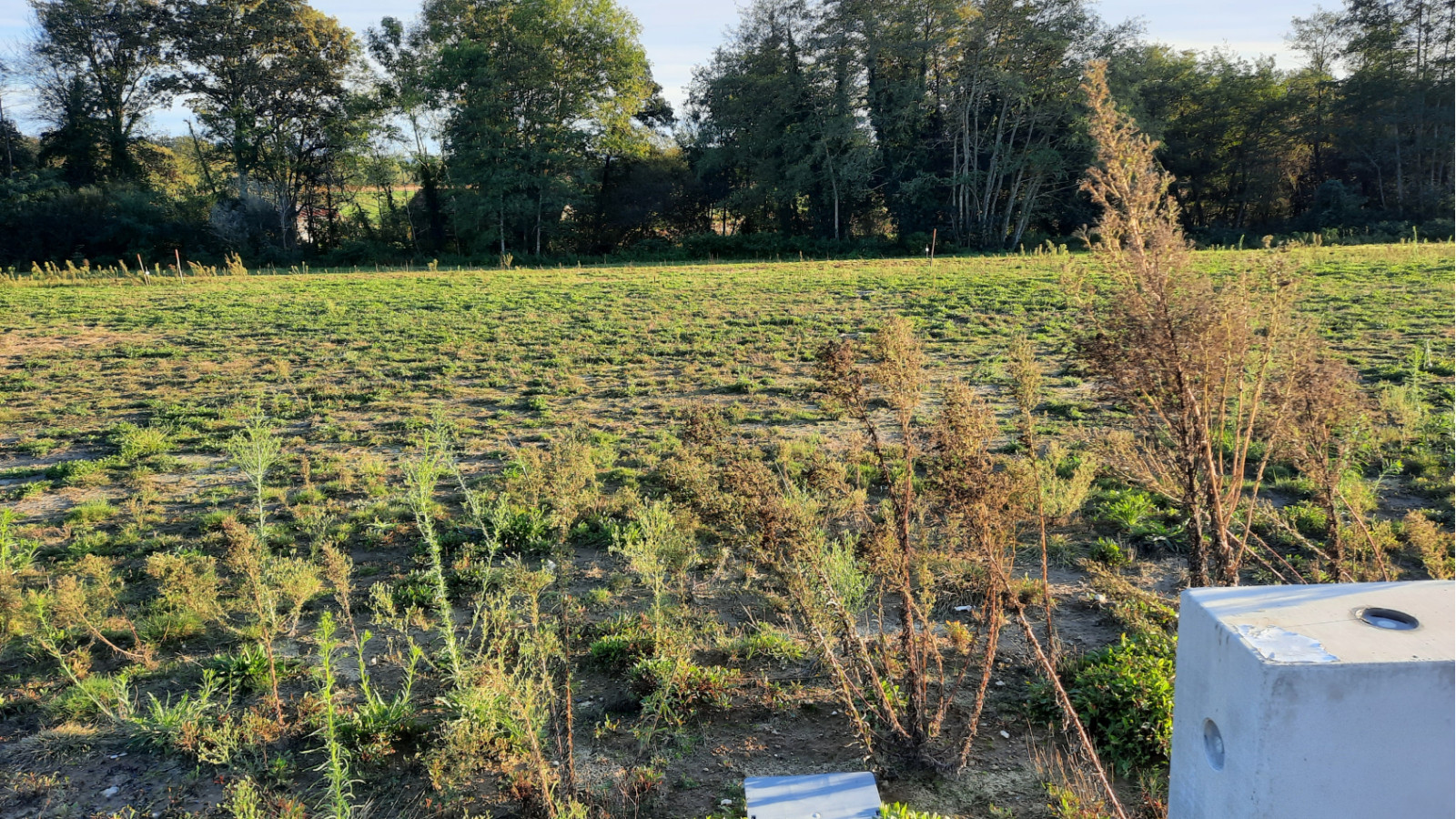 Terrain constructible de 635m2 à Saint-Perdon