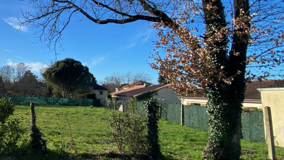 Capture d'écran 2026-02-25 072258.png