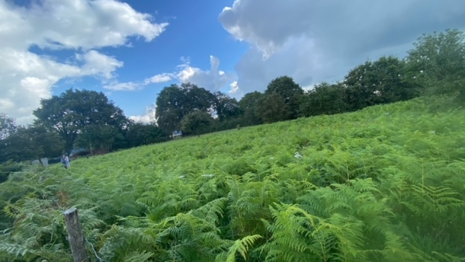 Terrain constructible de 700m2 à Besné