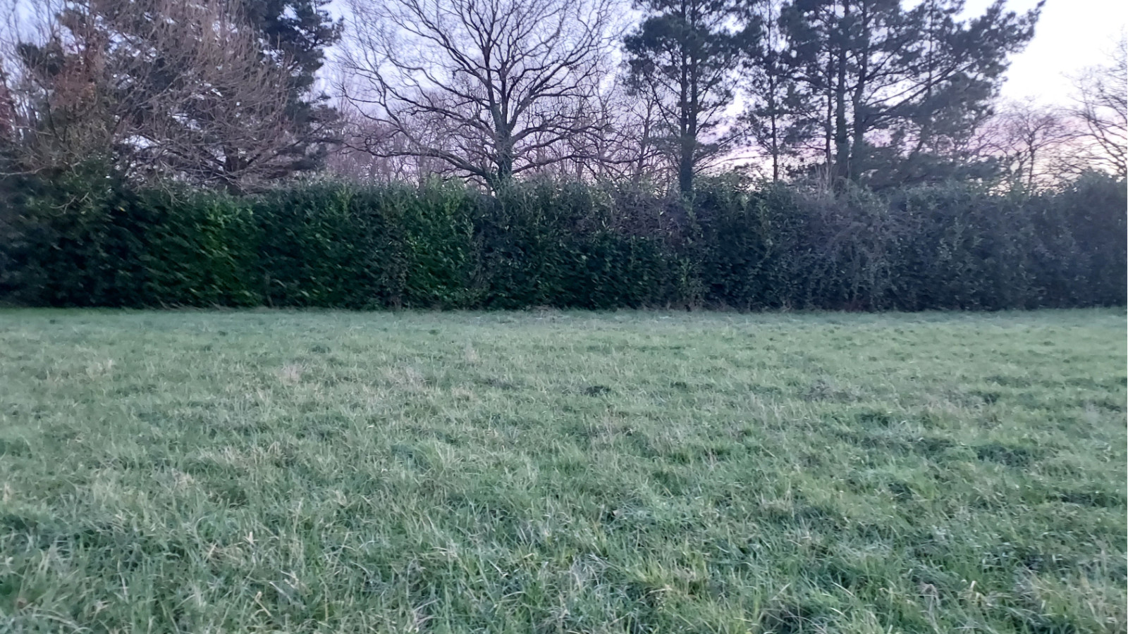 Terrain constructible de 430m2 à Besné