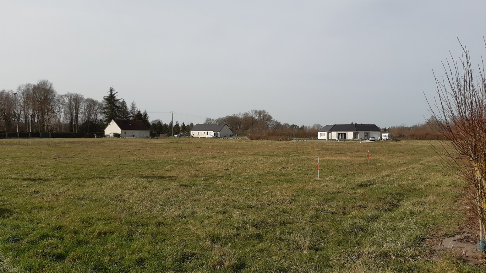 Terrain constructible de 1441m2 à La Cour-Marigny