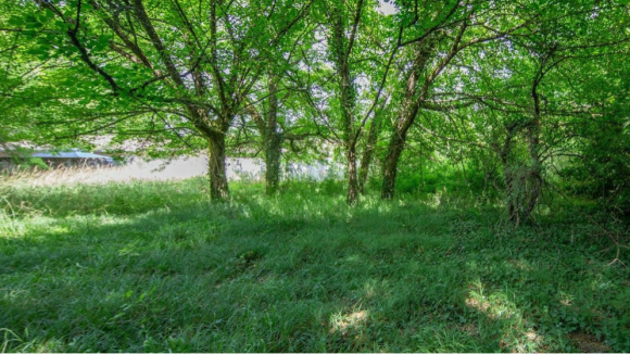 Capture d'écran 2026-02-27 113934.png