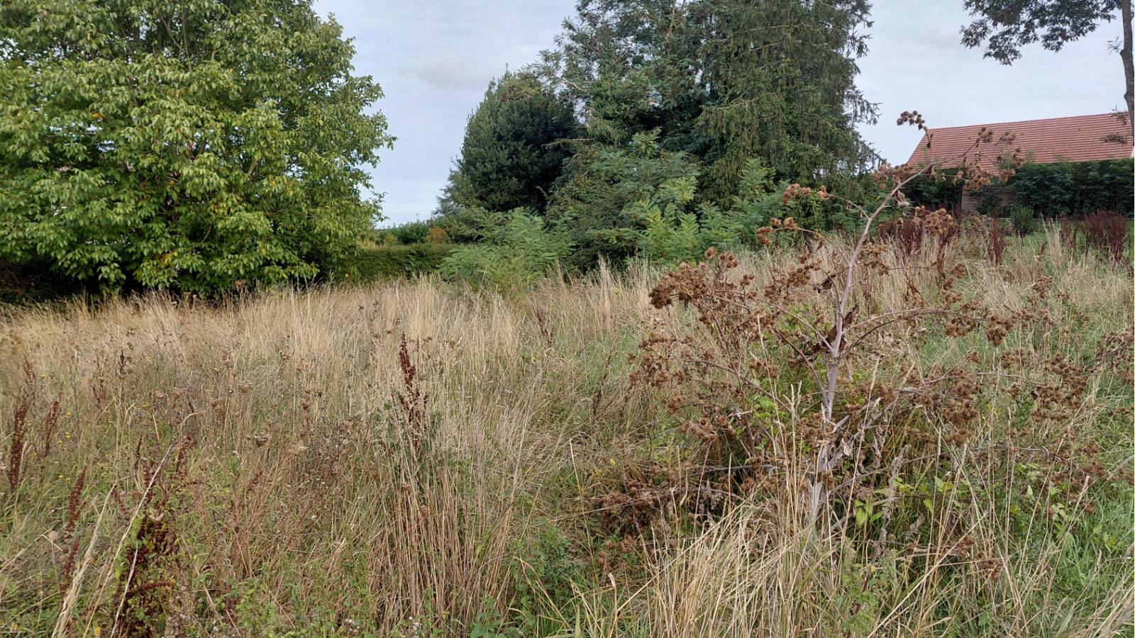 Terrain constructible de 450m2 à Seigy