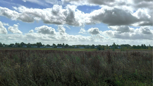 20250915_134430~2 - Copie.jpg