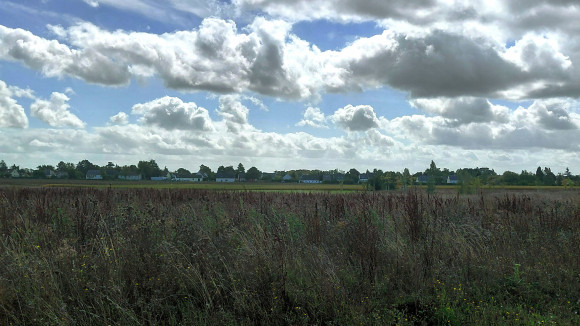 20250915_134430~2 - Copie.jpg