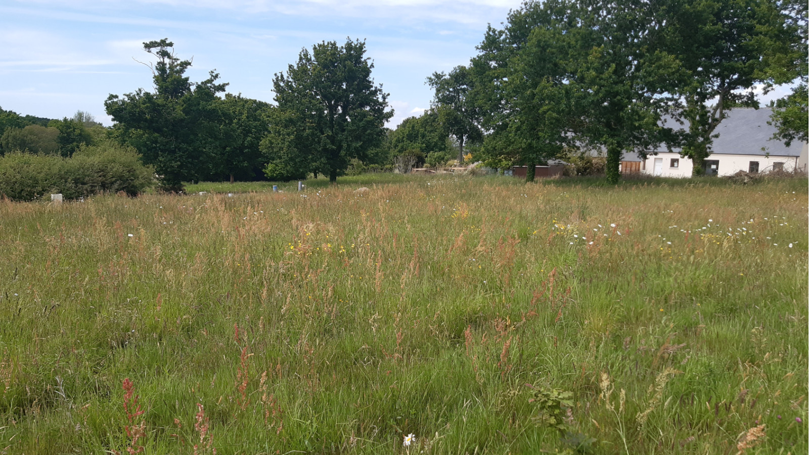 Terrain constructible de 569m2 à Saint-Maugan