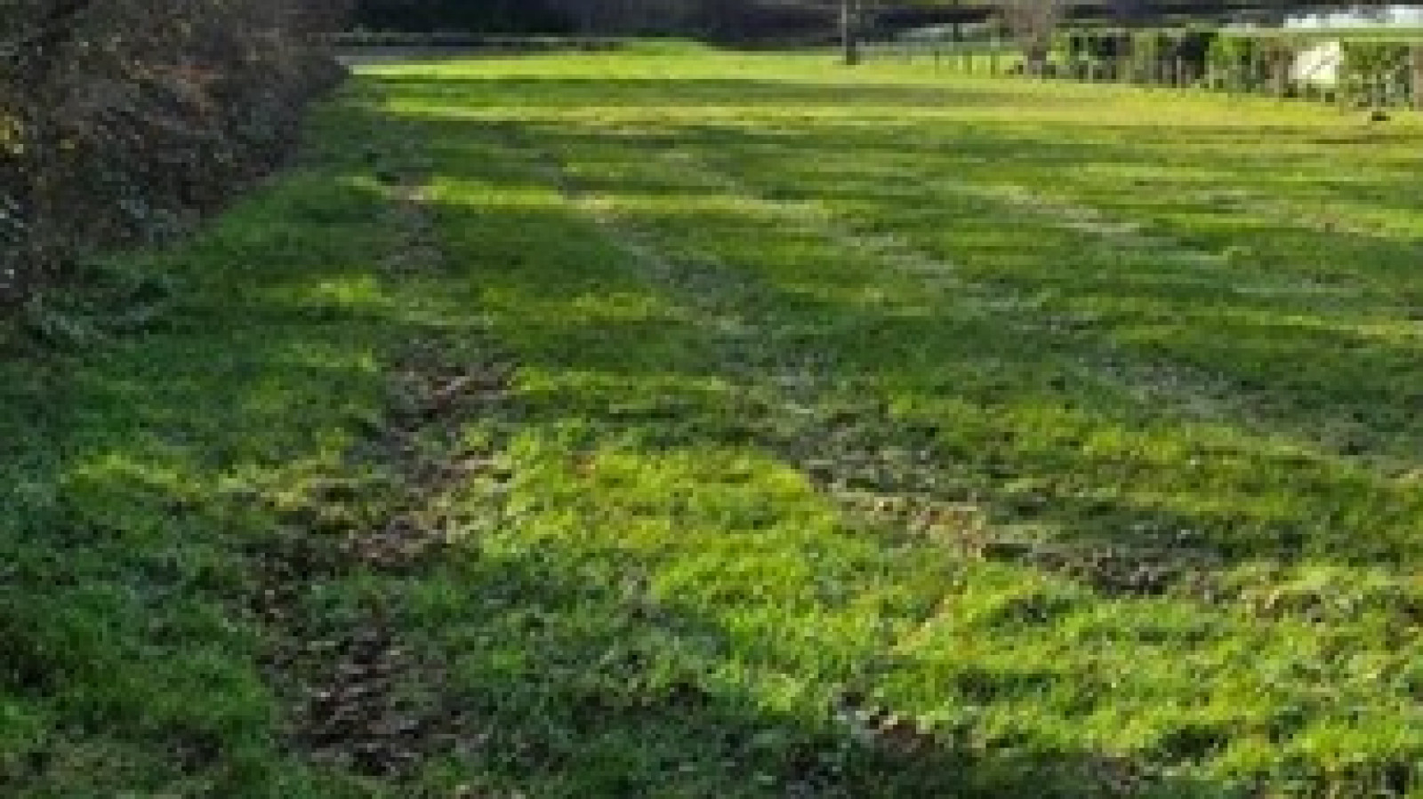 Terrain constructible de 830m2 à Joué-lès-Tours