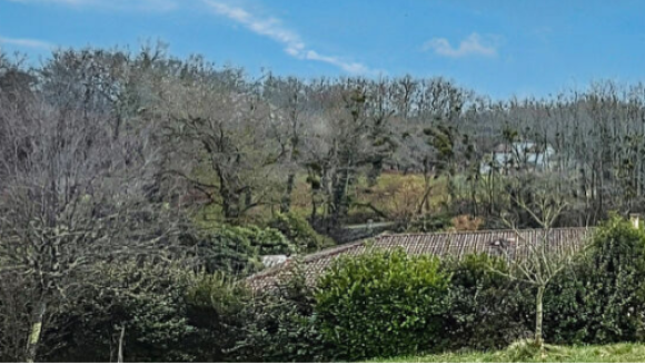 Capture d'écran 2026-03-04 110309.png