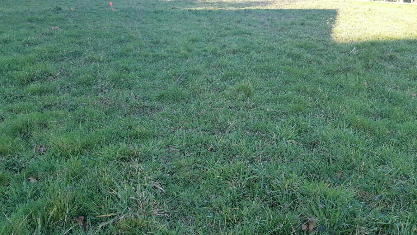 Terrain constructible de 740m2 à Pontchâteau