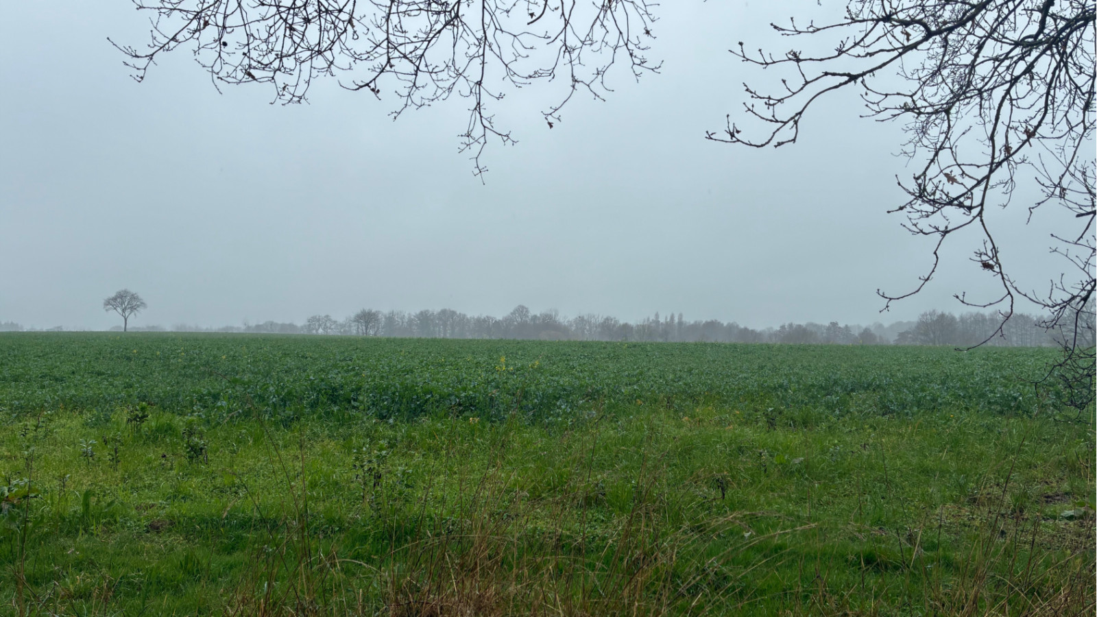 Terrain constructible de 1300m2 à Pontchâteau