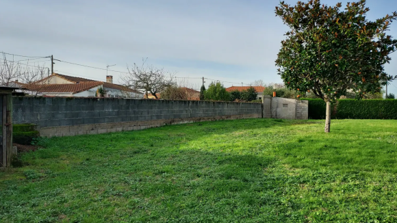 Capture d'écran 2026-03-05 135903.png