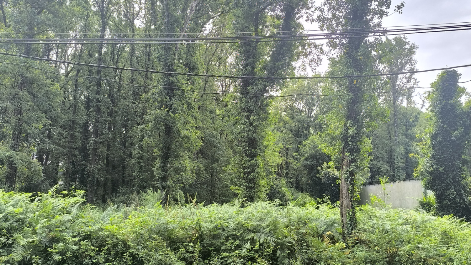 Terrain constructible de 800m2 à Besné