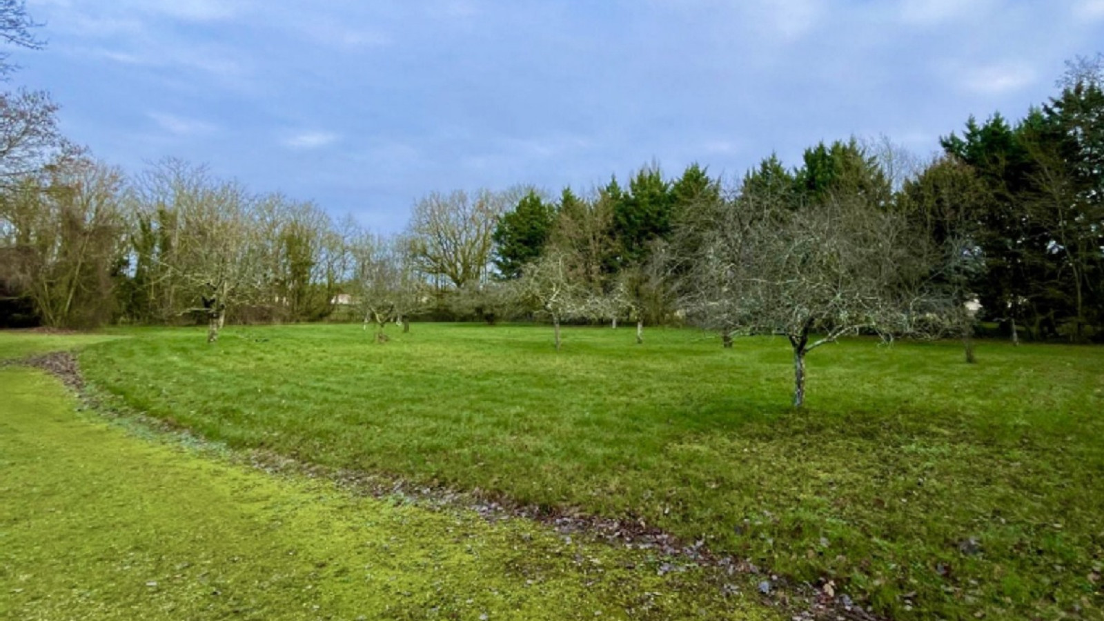 Terrain constructible de 2650m2 à Châtellerault