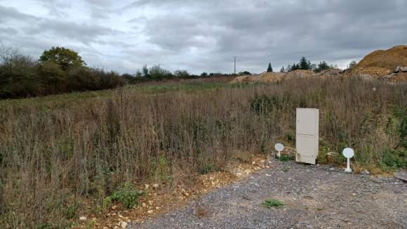 20221108_112132 (1).jpg