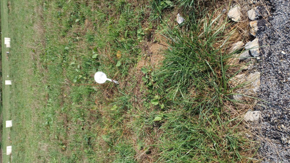 servon sur vilaine 6.jpg