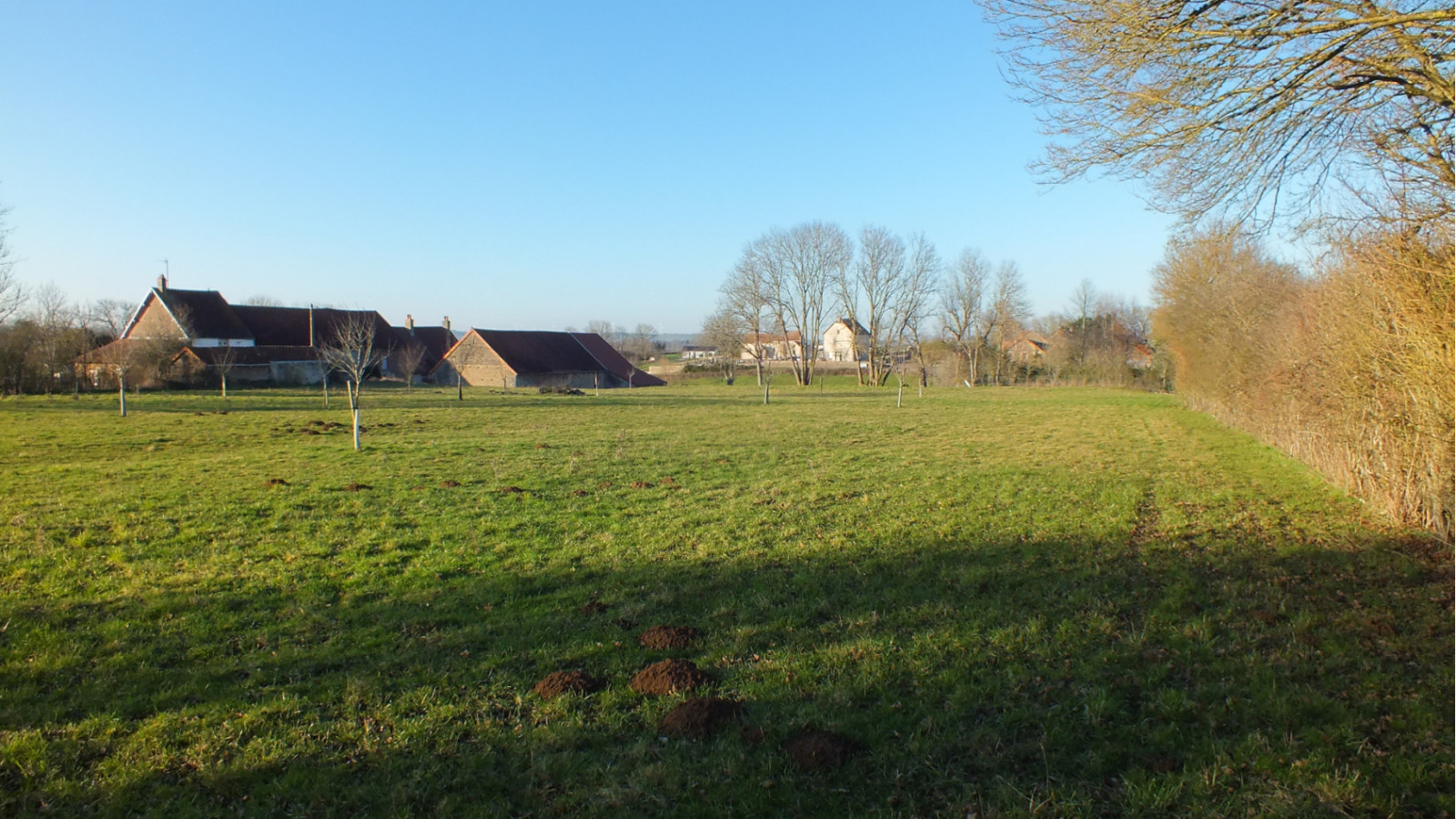 Terrain constructible de 5990m2 à Musigny