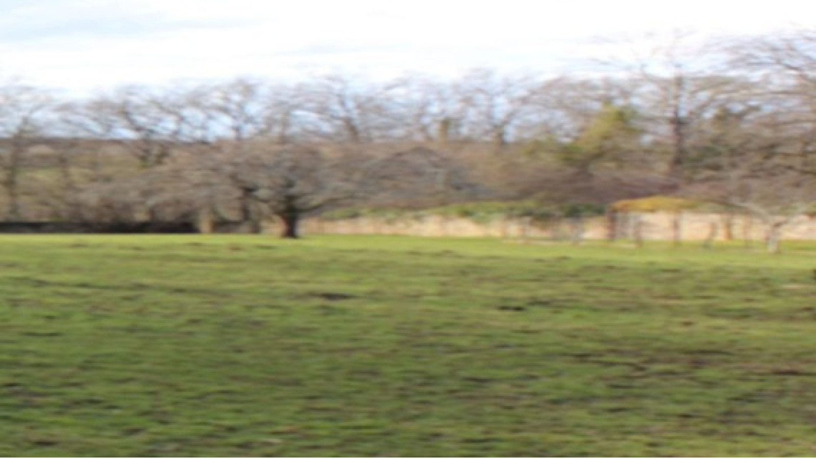 Terrain constructible de 4331m2 à Courcelles-Frémoy