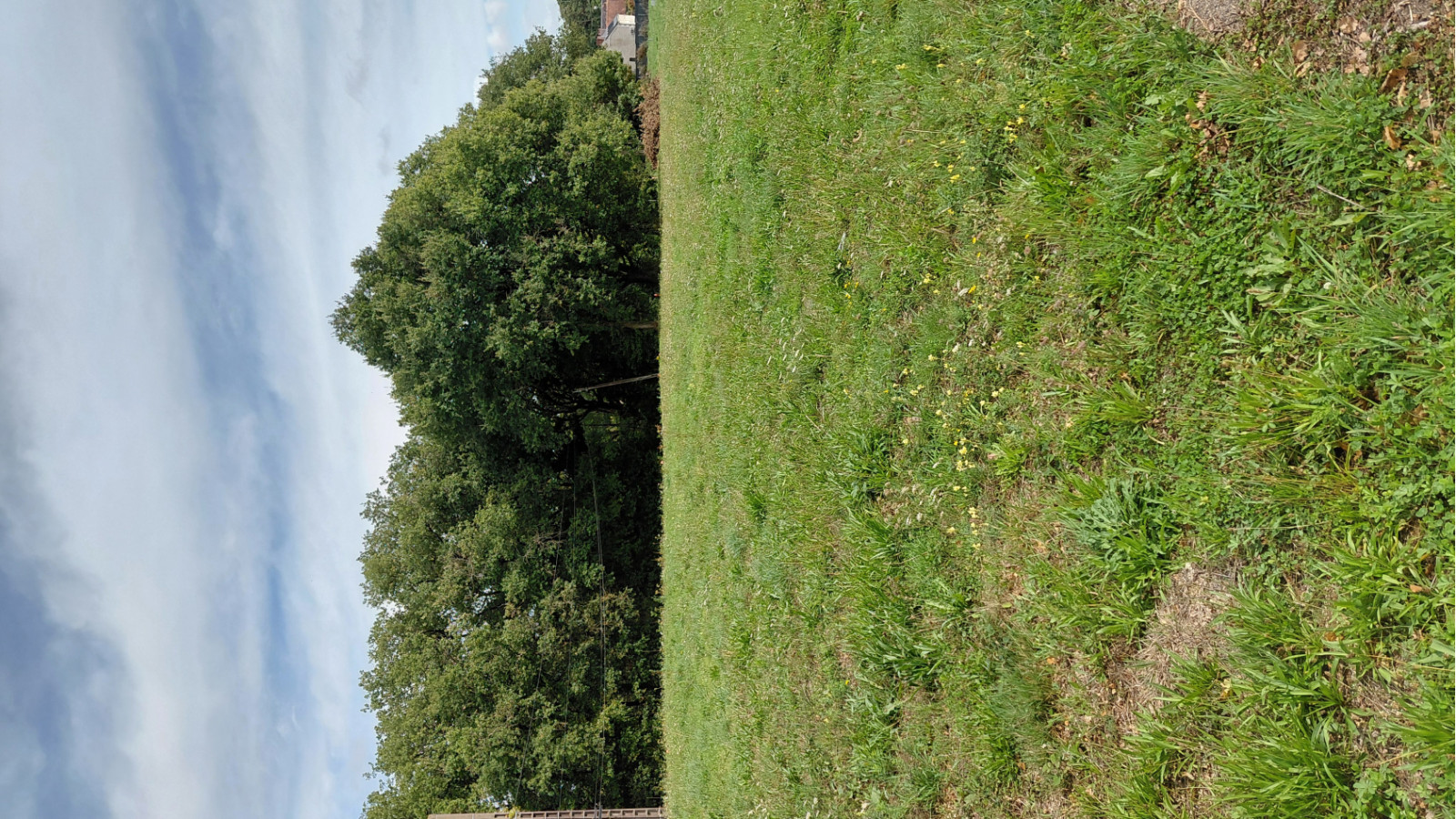 Terrain constructible de 344m2 à Druye
