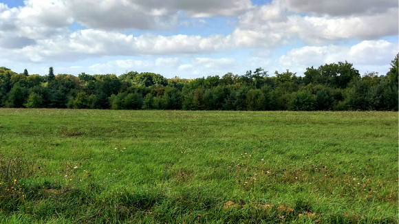 20250915_151112~2 1.jpg