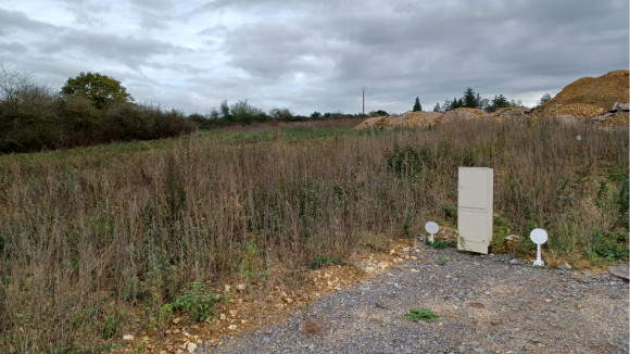 20221108_112132 (2).jpg