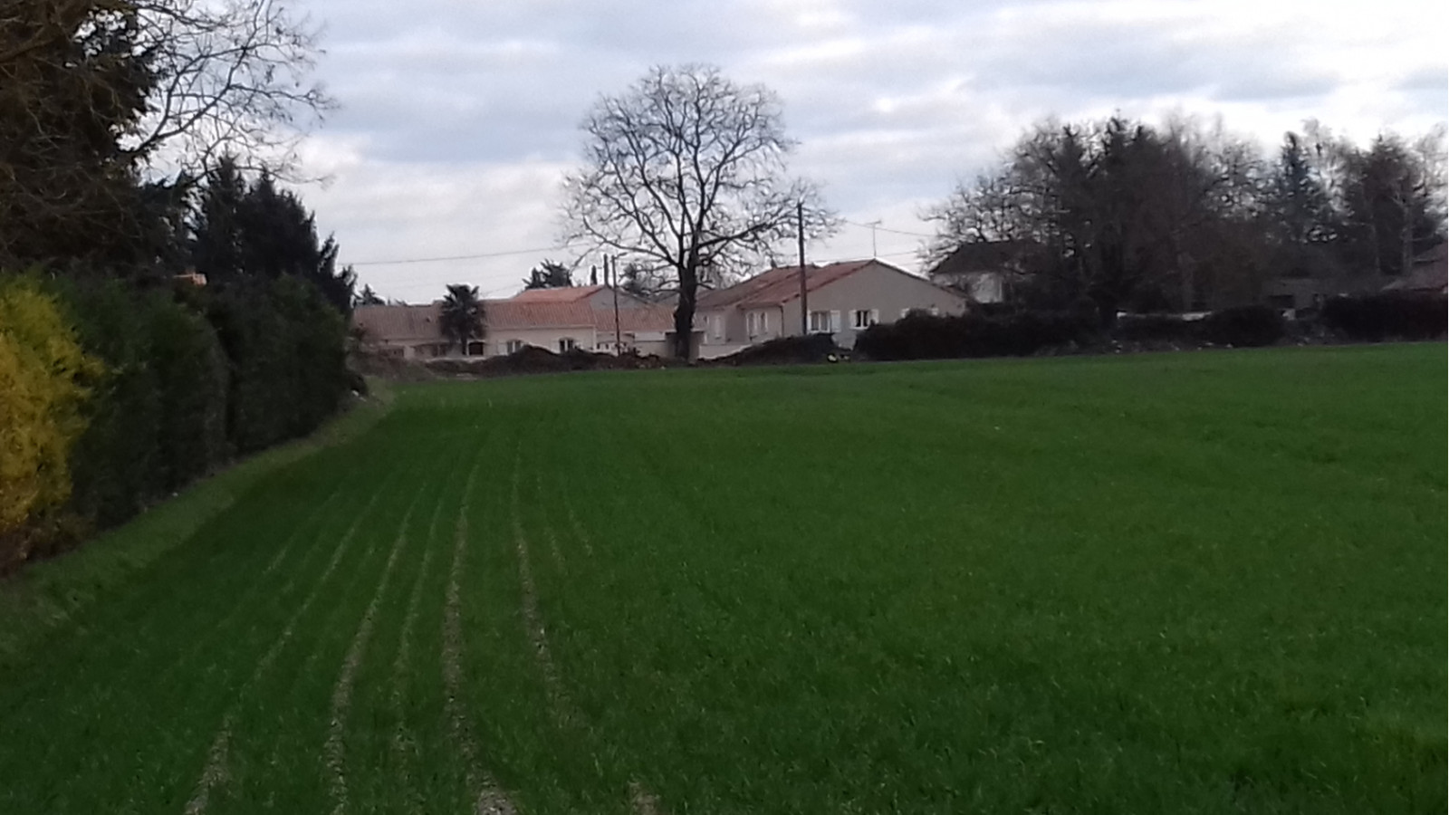 Terrain constructible de 5000m2 à Archigny
