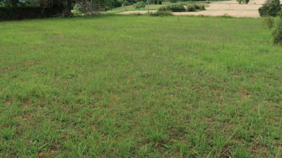 Capture d’écran 2025-12-26 143943 (1).png