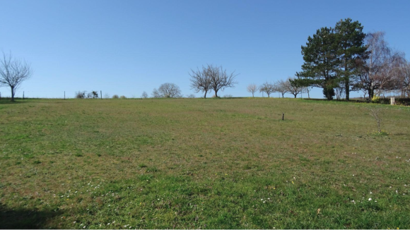 photo valdivienne.png