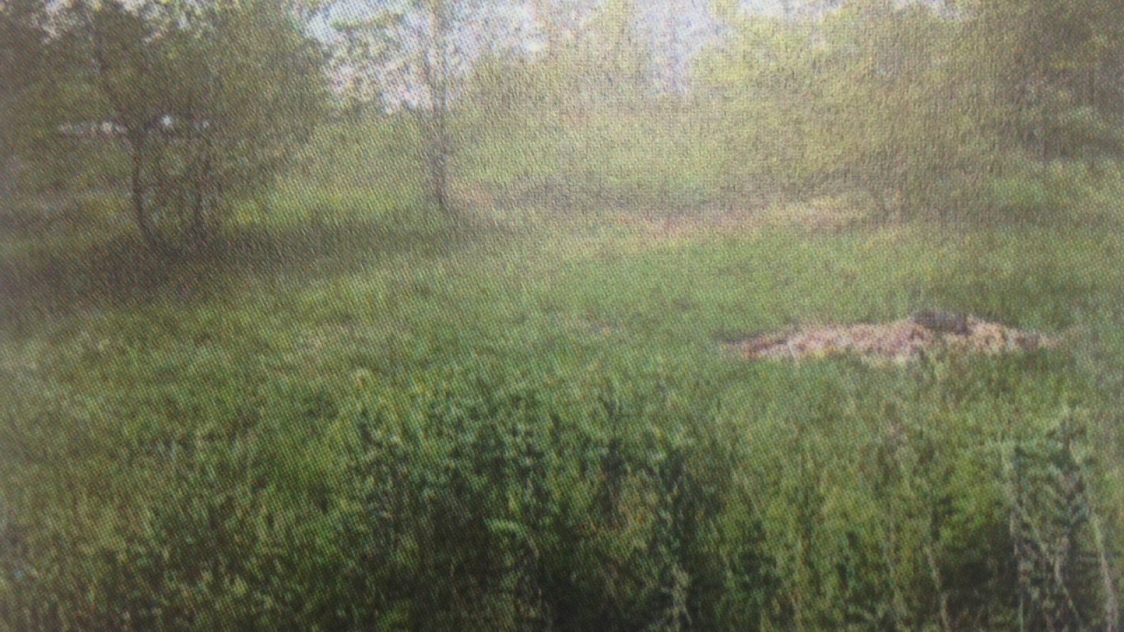 Terrain constructible de 580m2 à Saint-Paterne-Racan