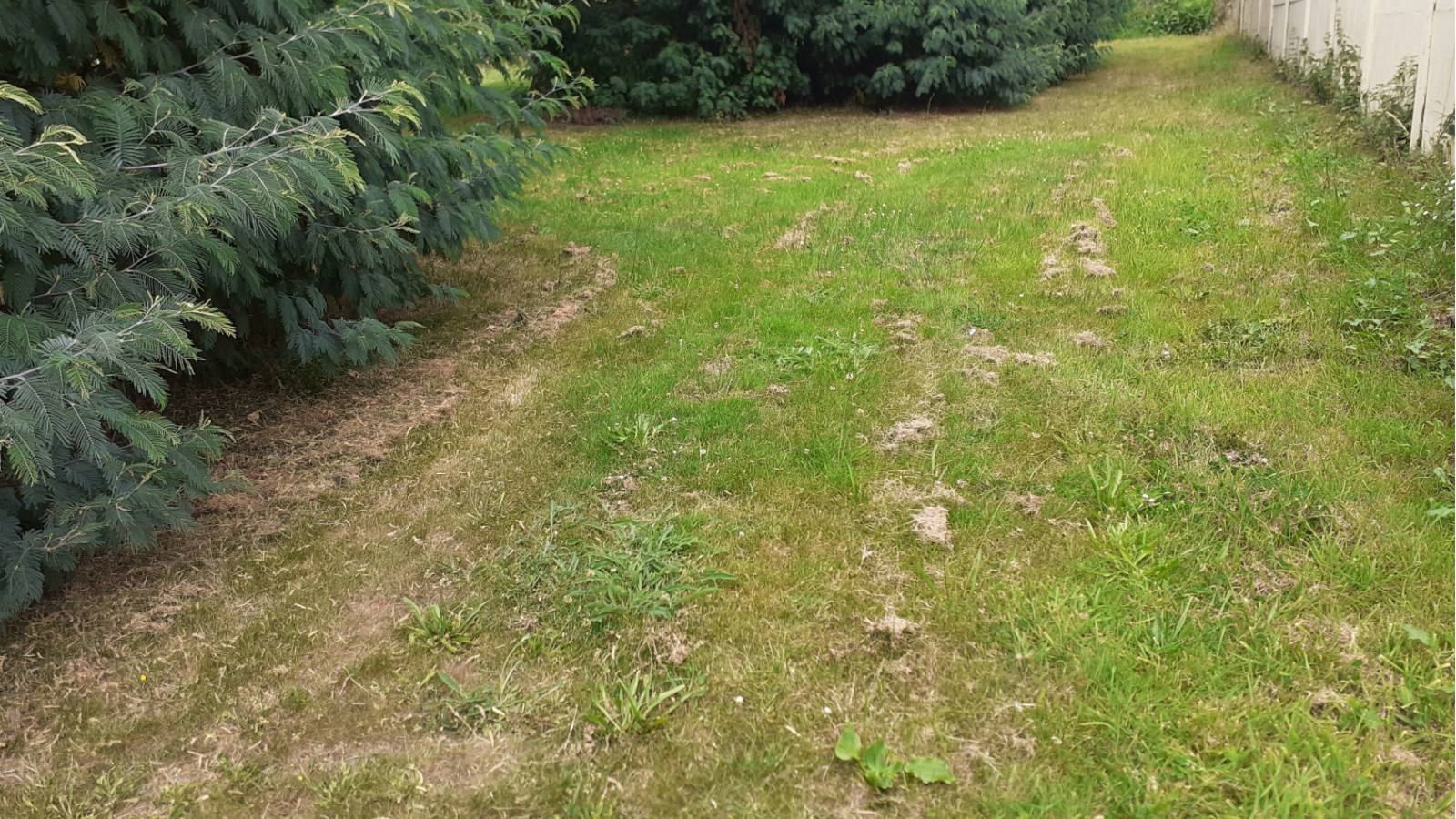 Terrain constructible de 750m2 à Bouée