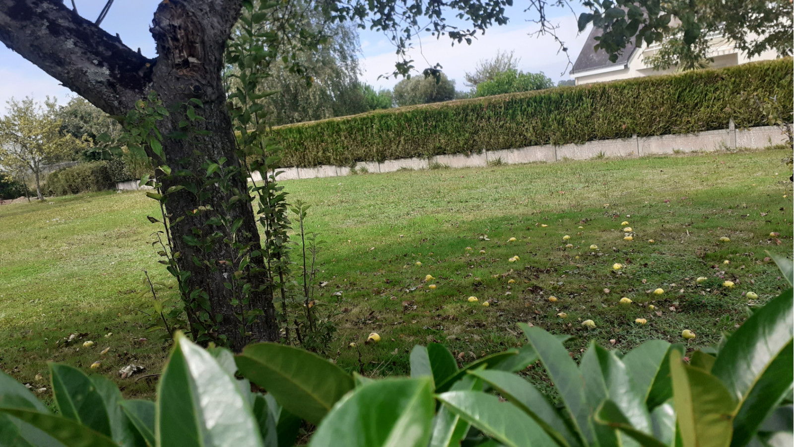 Terrain constructible de 1300m2 à Rieux