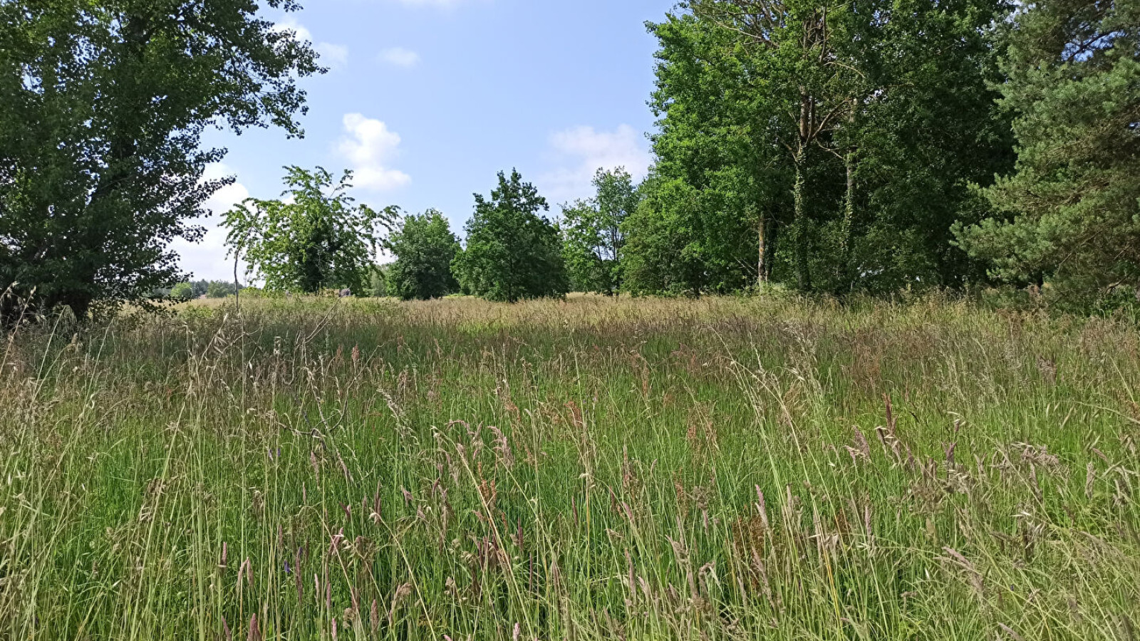 Terrain constructible de 1100m2 à Lancé