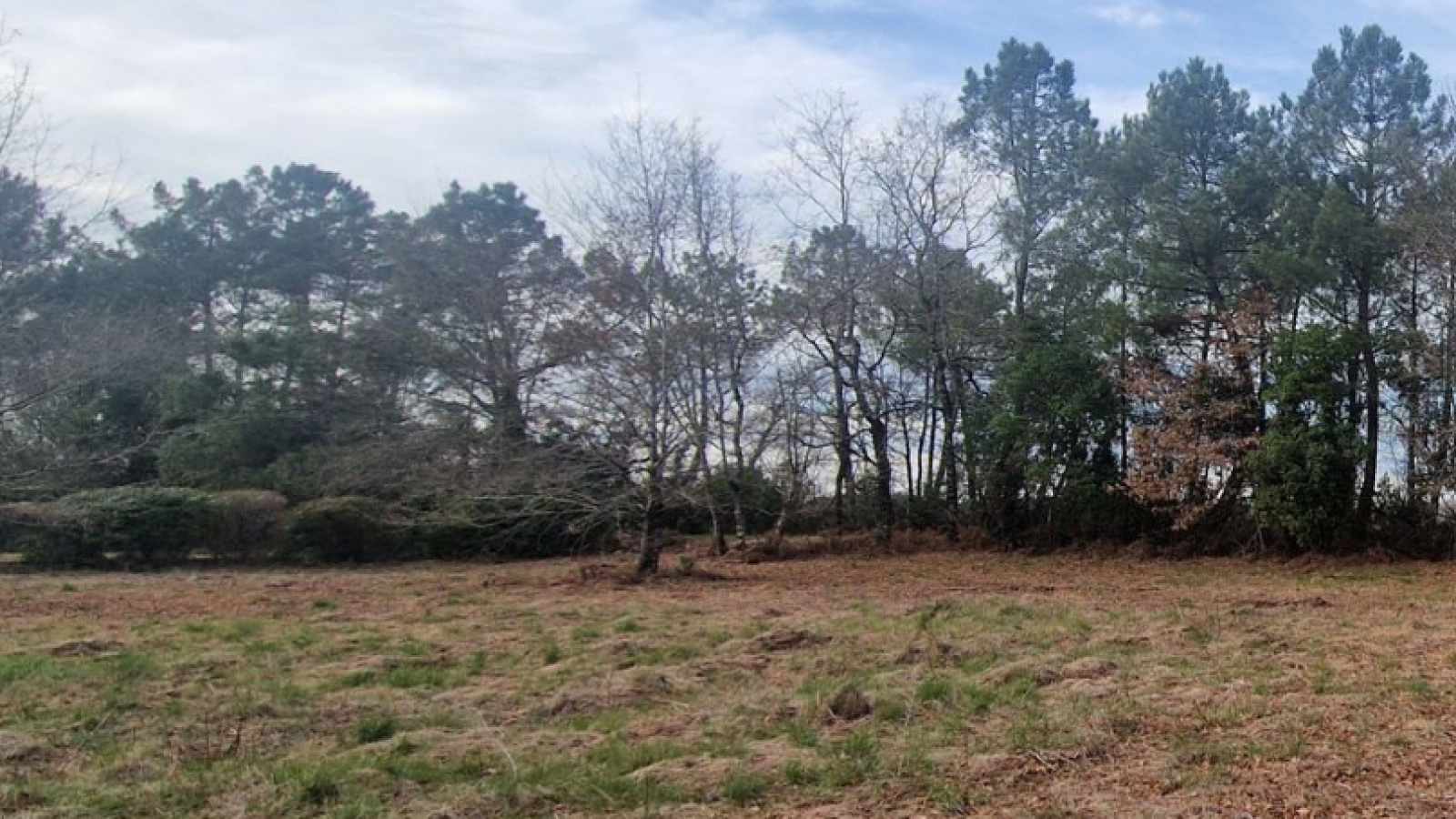 Terrain constructible de 450m2 à Abzac