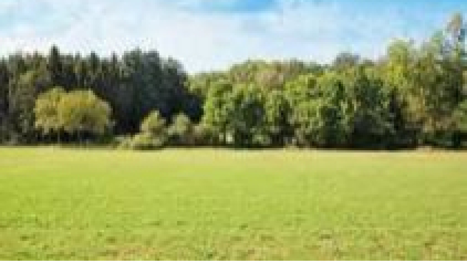 Terrain constructible de 603m2 à Locoal-Mendon