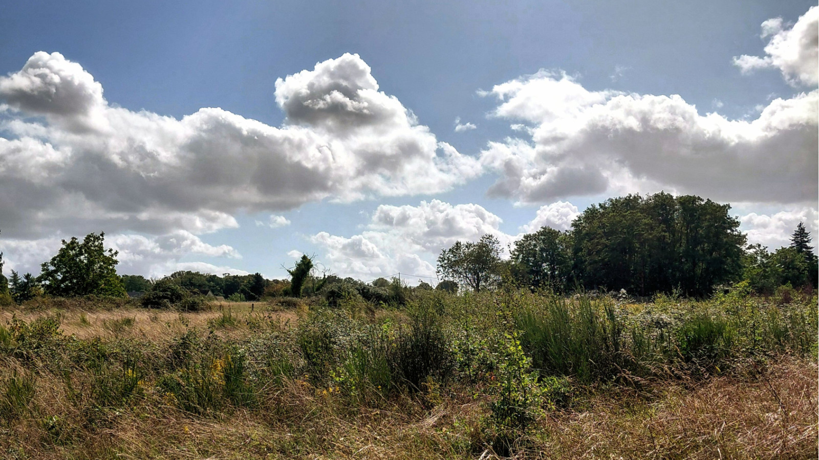 Terrain constructible de 404m2 à Nouzilly