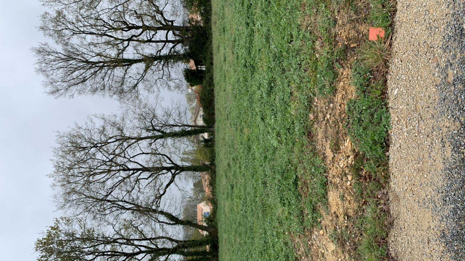 Terrain constructible de 425m2 à Venansault