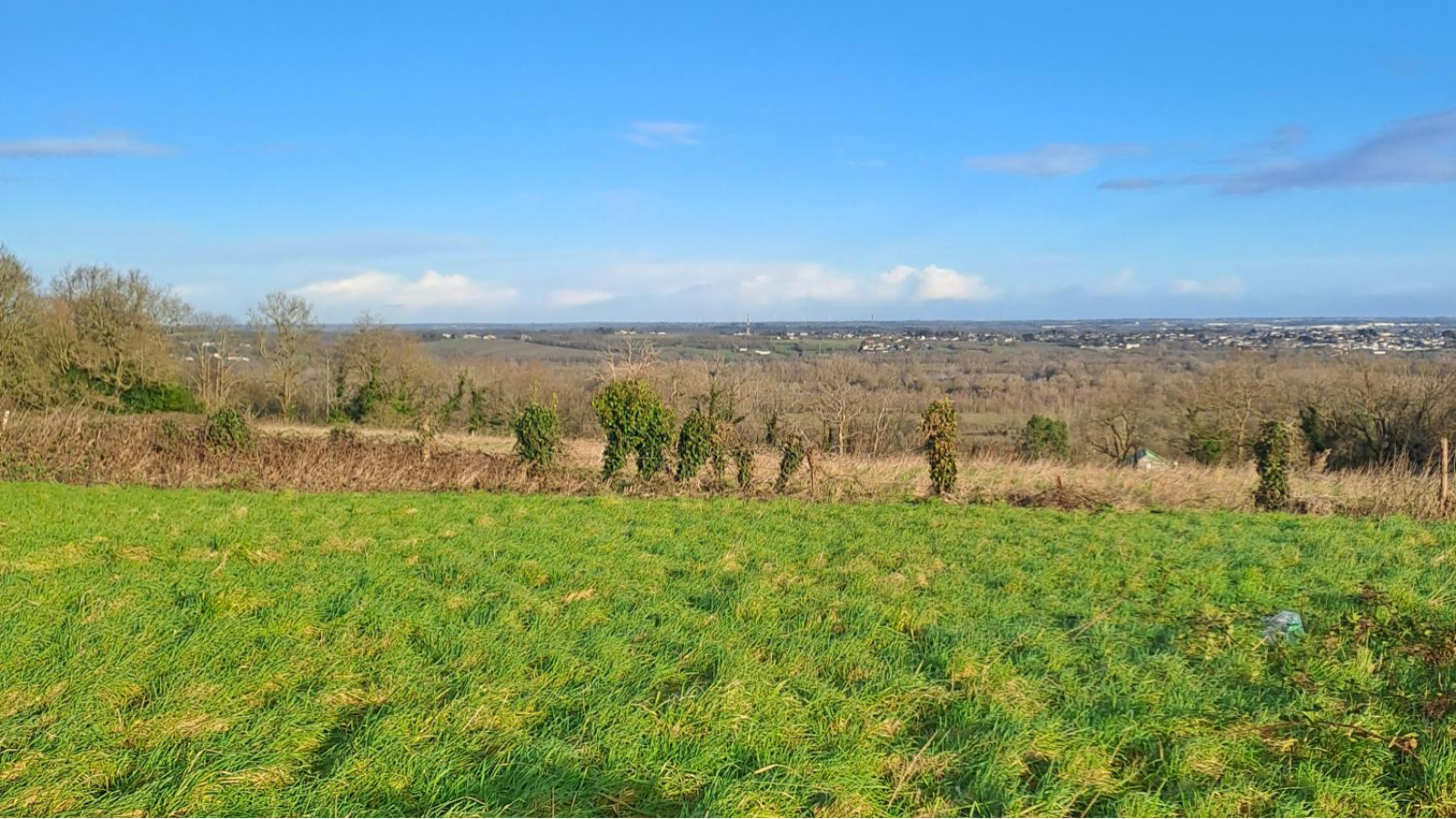 Terrain constructible de 499m2 à Longuenée-en-Anjou