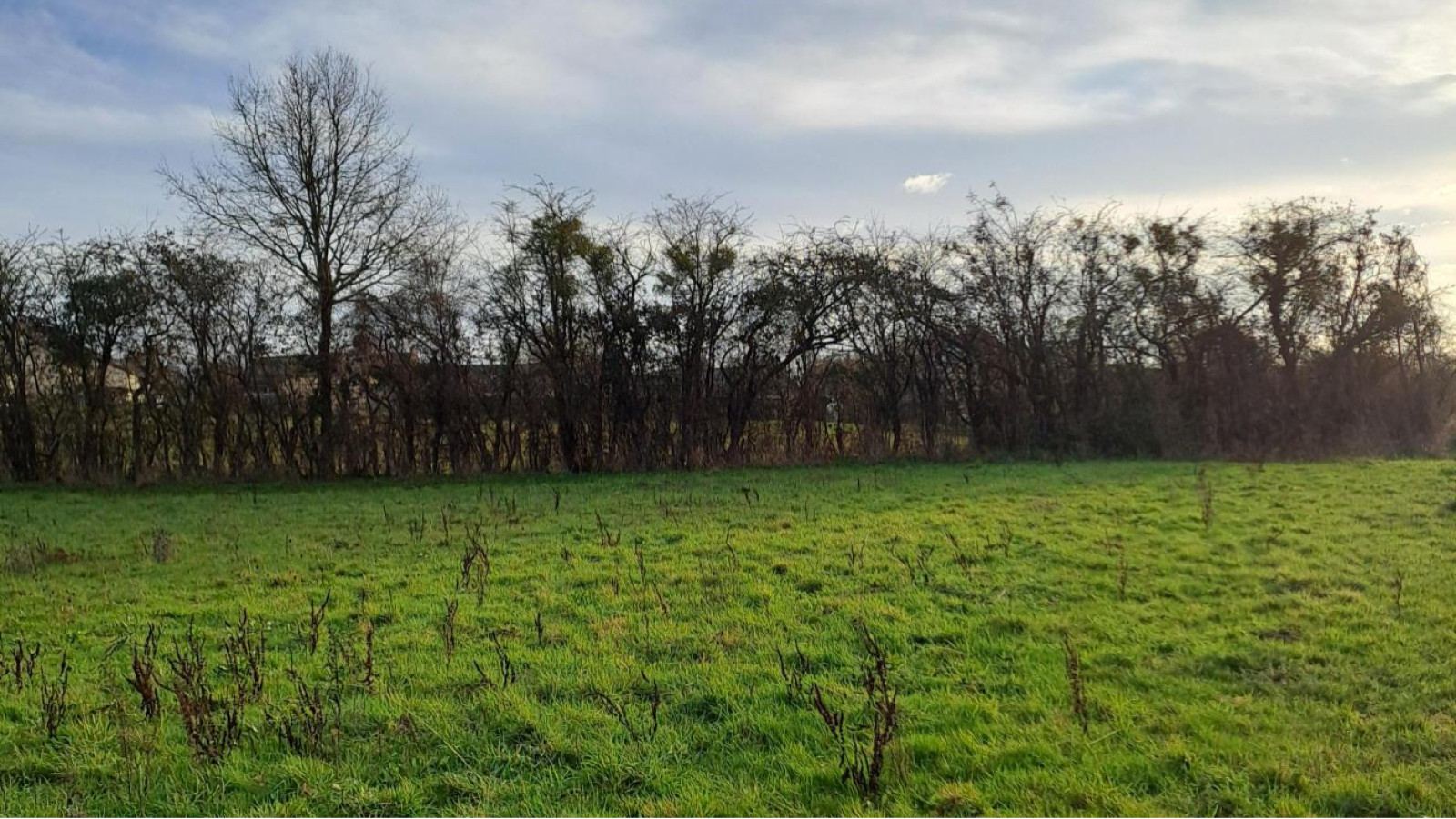 Terrain constructible de 395m2 à Val d'Erdre-Auxence