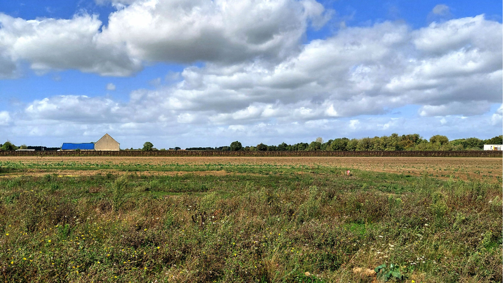 Terrain constructible de 525m2 à Langeais