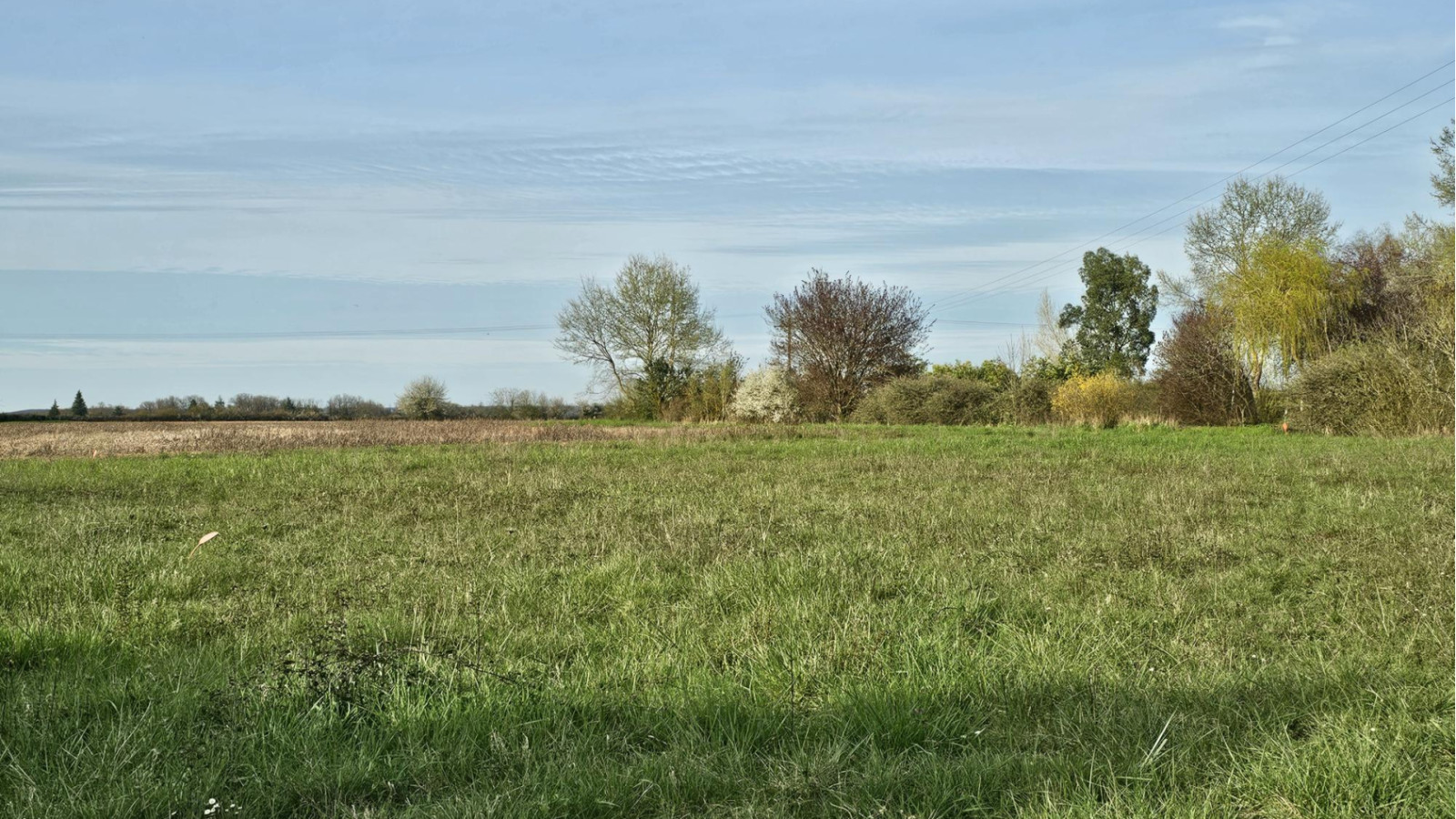 Terrain constructible de 1194m2 à Reignac-sur-Indre
