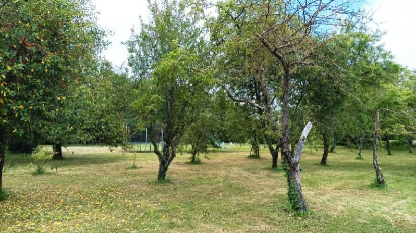 Terrain constructible de 1370m2 à Jaunay-Marigny